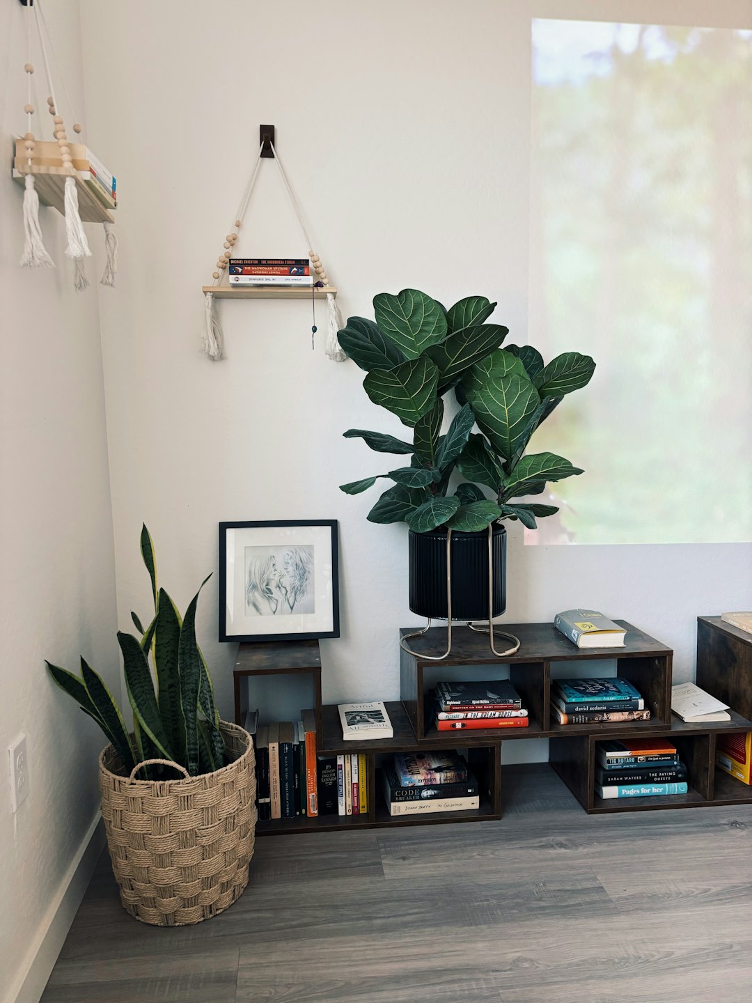 Books on dark wood shelves with macrame hanging shelves and plants.